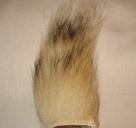 ����� ������� ����������� / badger tail natural